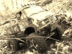 20140928_111601.jpg